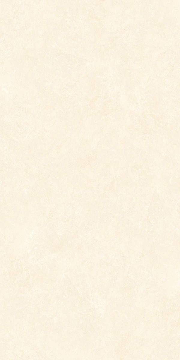 face 6